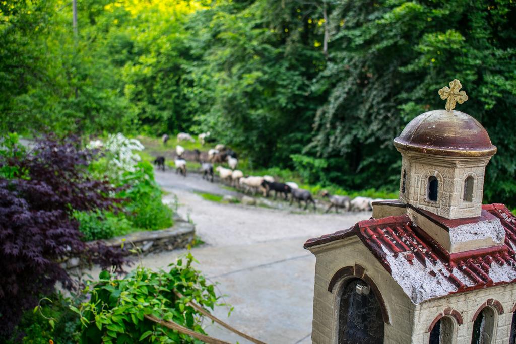 Незабравим Уикенд във вила Вербена, Априлци