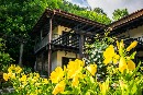 Незабравим Уикенд във вила Вербена, Априлци