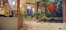 ЛЯТНО УЕЛНЕС ПРЕЖИВЯВАНЕ В DIPLOMAT PLAZA HOTEL & RESORT **** 