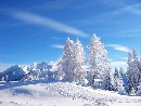 Специални индивидуални оферти за хотел Родопски дом, Чепеларе